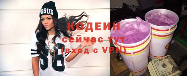 ешки Бородино