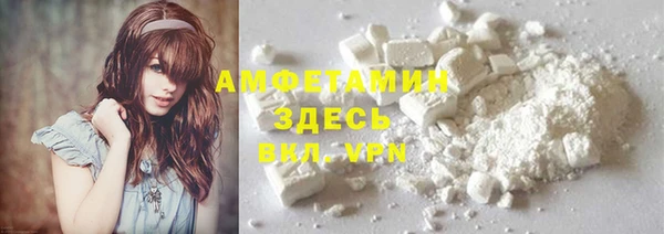 молекула духа Бронницы