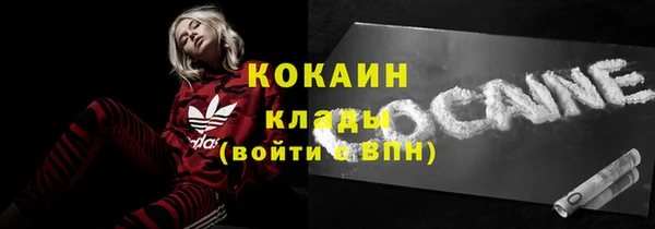 молекула духа Бронницы