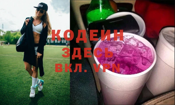 ешки Бородино