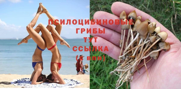 молекула духа Бронницы