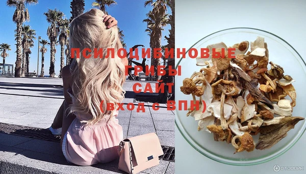 молекула духа Бронницы