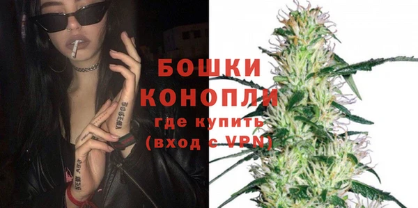 ешки Бородино