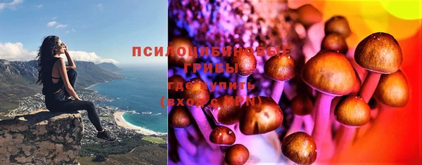 прущие крисы Бугульма