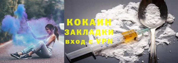 ешки Бородино